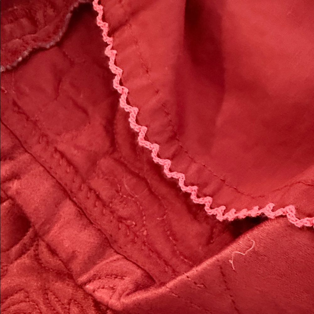 Anthropologie Burgundy Embroidered Mini Skirt - Picture 7 of 9